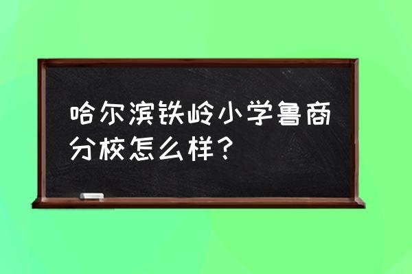 哈尔滨市铁岭小学有几个校区 哈尔滨铁岭小学鲁商分校怎么样？
