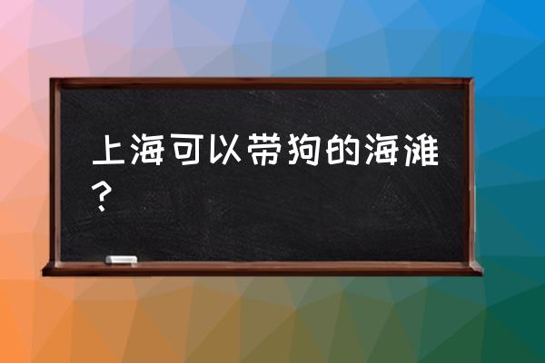 带狗去海边旅游注意什么 上海可以带狗的海滩？