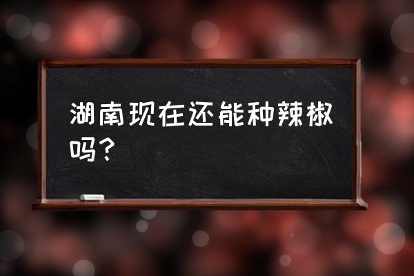 汝城有什么红色景点 湖南现在还能种辣椒吗？