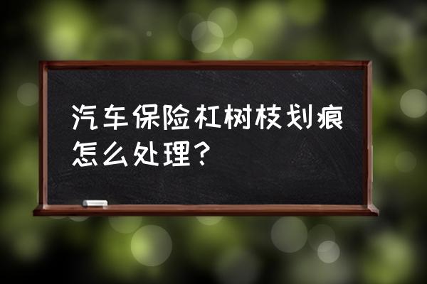 汽车被树枝轻微划伤怎样处理最好 汽车保险杠树枝划痕怎么处理？