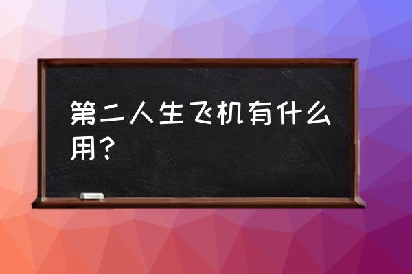 第二人生游戏最多可以生几个孩子 第二人生飞机有什么用？