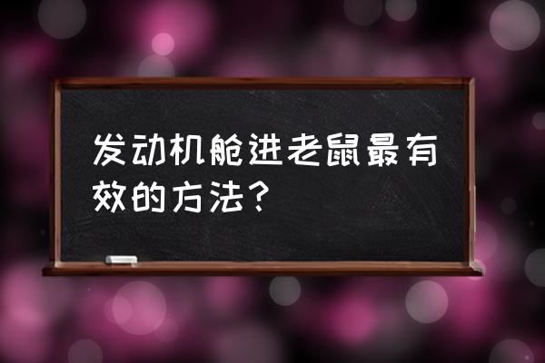 车上防老鼠最好的办法 发动机舱进老鼠最有效的方法？