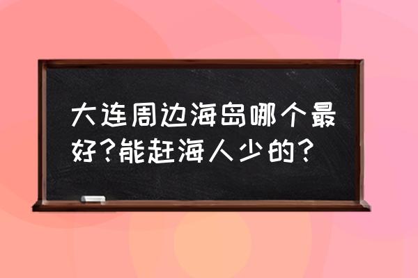 野外抓海参的方法 大连周边海岛哪个最好?能赶海人少的？